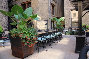 Pioneer Endicott Green Roof, St. Paul, Minnesota